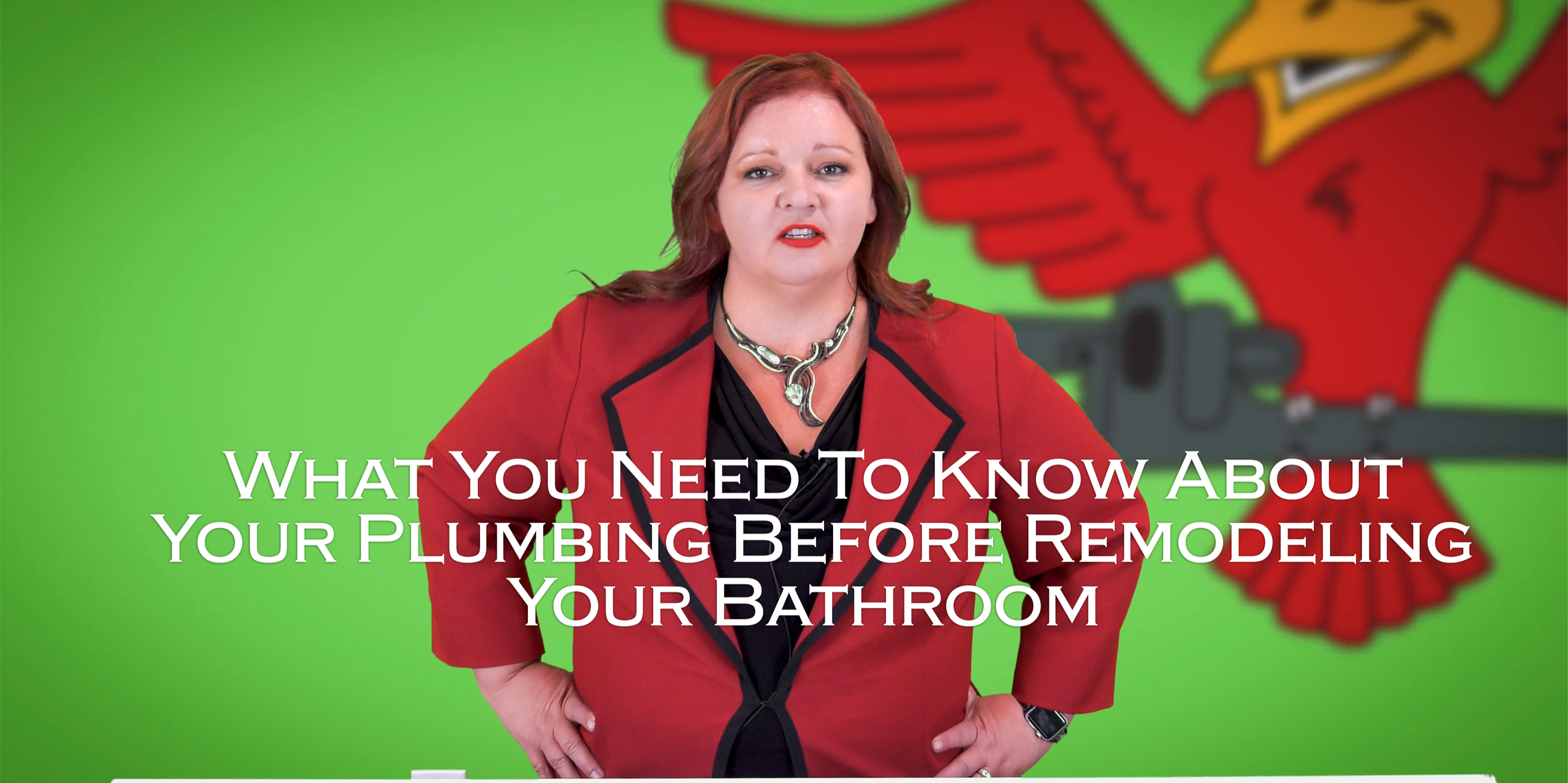 What-You-Need-To-Know-About-Your-Plumbing-Before-Remodeling-Your-Bathroom-robins-plumbing