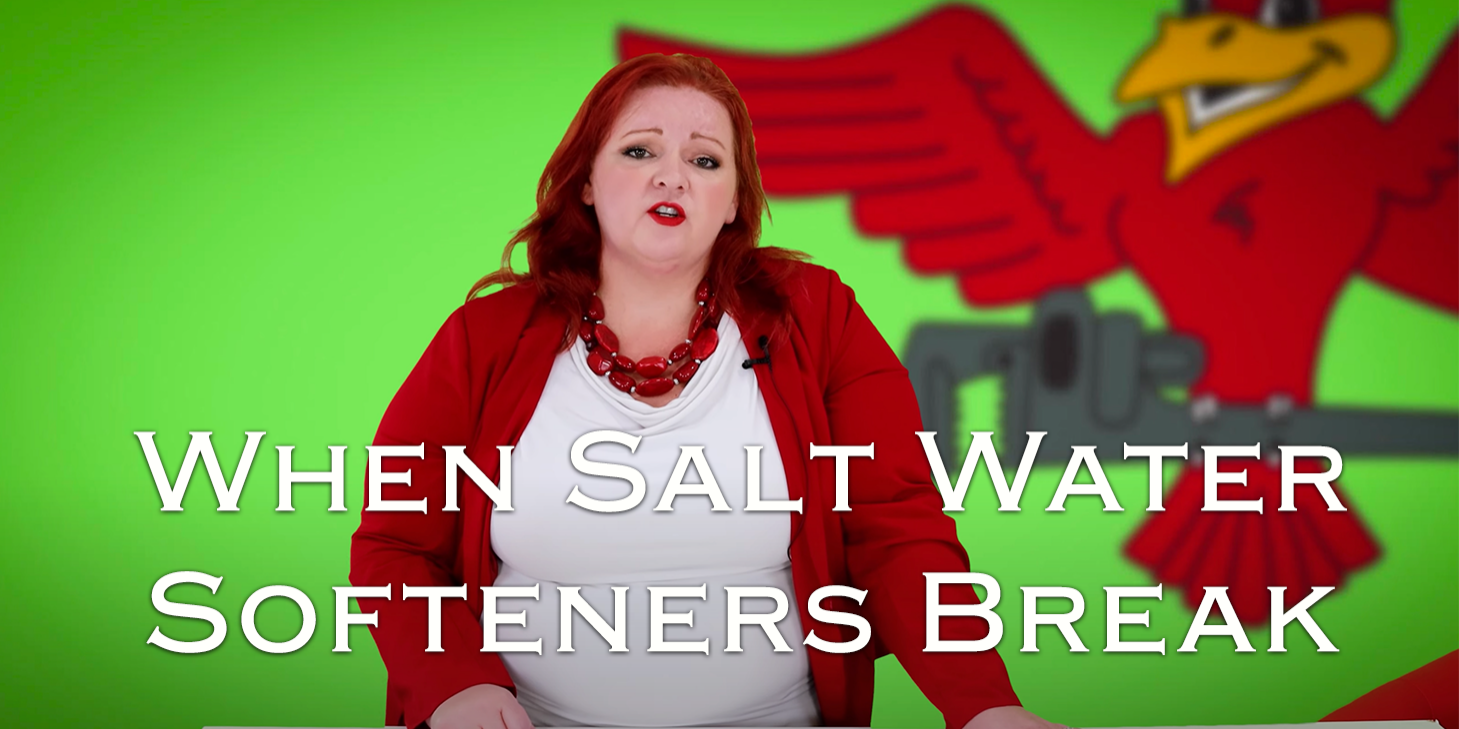 Stephanie Robins, owner of Robins Plumbing featuring titled blog 'When salt water softeners break'