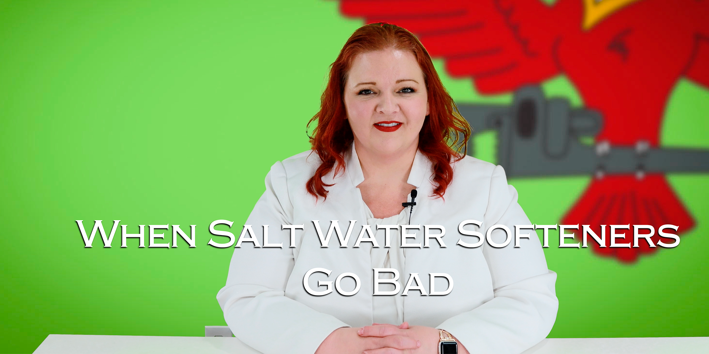 Robins Plumbing owner Stephanie Robins and featured blog titled 'When Salt Water Softeners Go Bad'