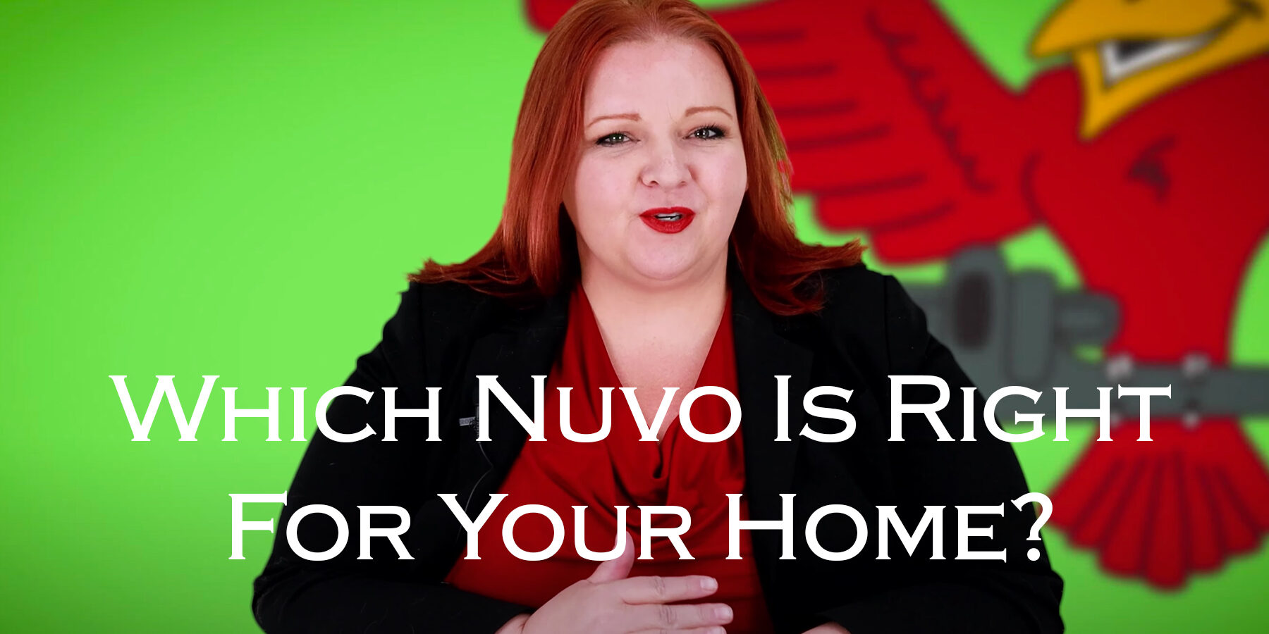Featured image for Robins Plumbing blog titled Which-nuvo-is-right-for-your-home