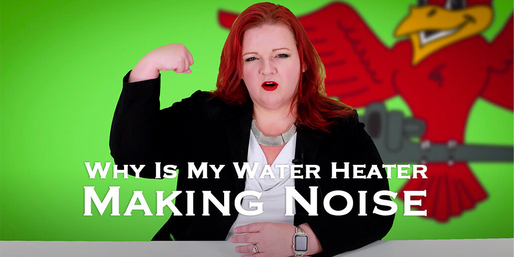 The thumbnail for the written blogowner of Robins Plumbing, Stephanie Robins blog