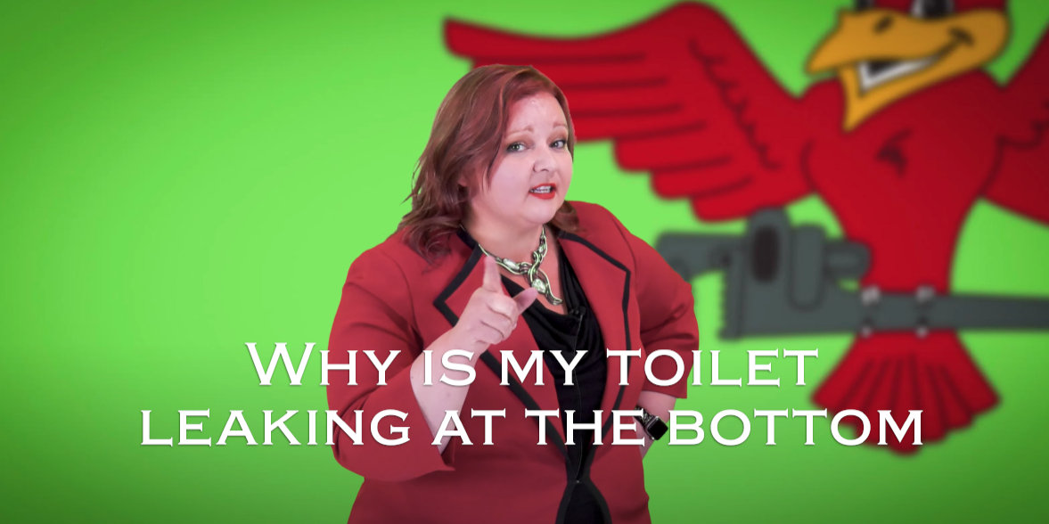 Stephanie Robins, owner of Robins Plumbing with featured blog titled why is my toilet leaking at the bottom