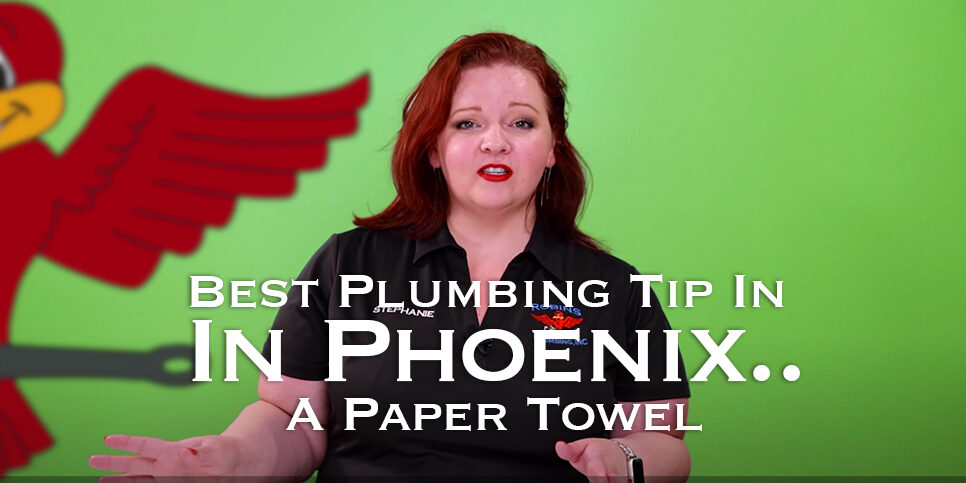 The thumbnail of Robins Plumbing blog titled "best plumbing tip in phoenix paper towel".
