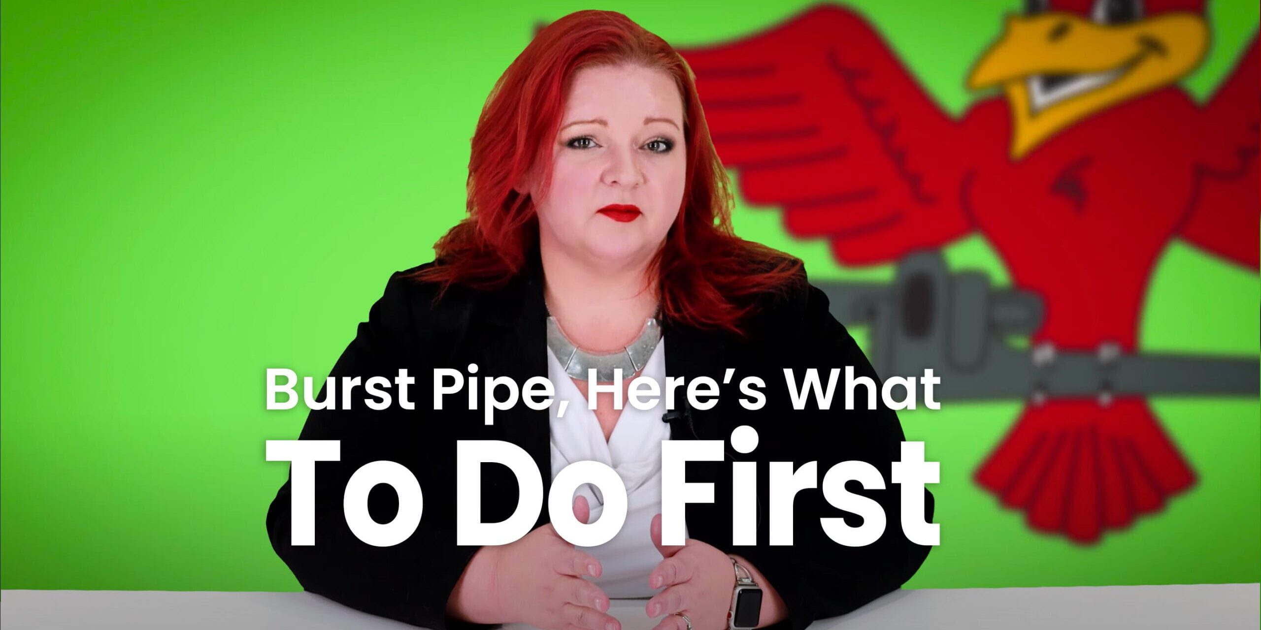 The thumbnail for Robins Plumbing blog titled "burst pipe heres what to do first" written by Robins Plumbing owner Stephanie Robins.