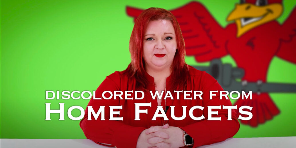 The thumbnail for Robins Plumbing blog titled "discolored water from home faucets" by owner Stephanie Robins.