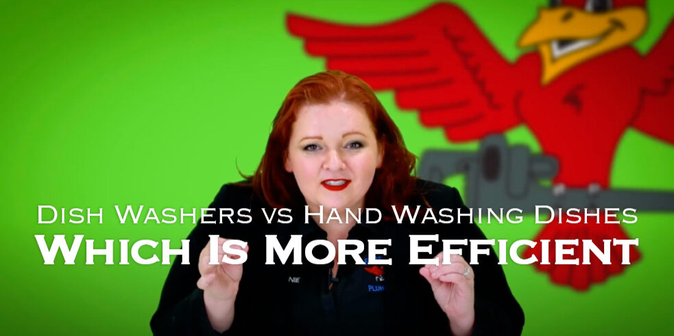 The thumbnail for Robins Plumbing blog titled Dish Washers vs Hand Washing Dishes Which Is More Efficient, by the owner Stephanie Robins.