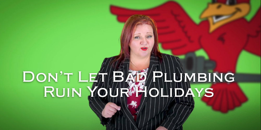 The owner of Robins Plumbing, Stephanie Robins featuring titled blog don't let bad plumbing ruin your holidays