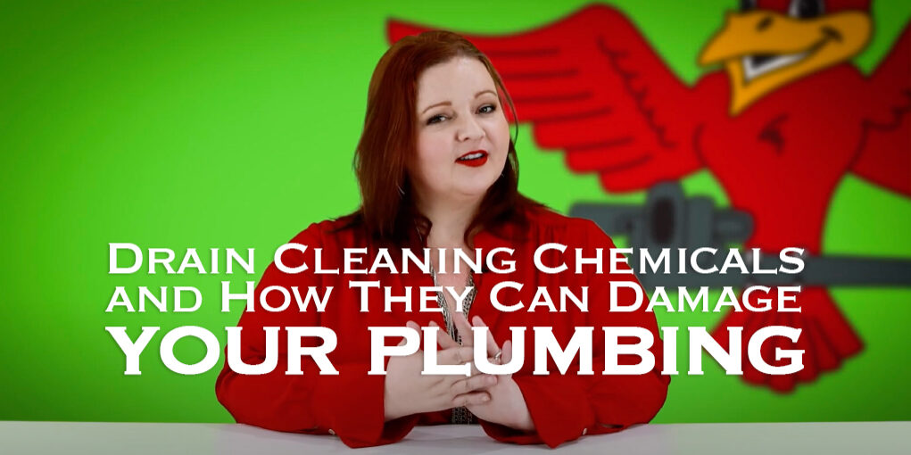 The thumbnail for the blog titled "drain cleaning chemicals and how they can damage your plumbing" written by the owner of Robins Plumbing Stephanie Robins.