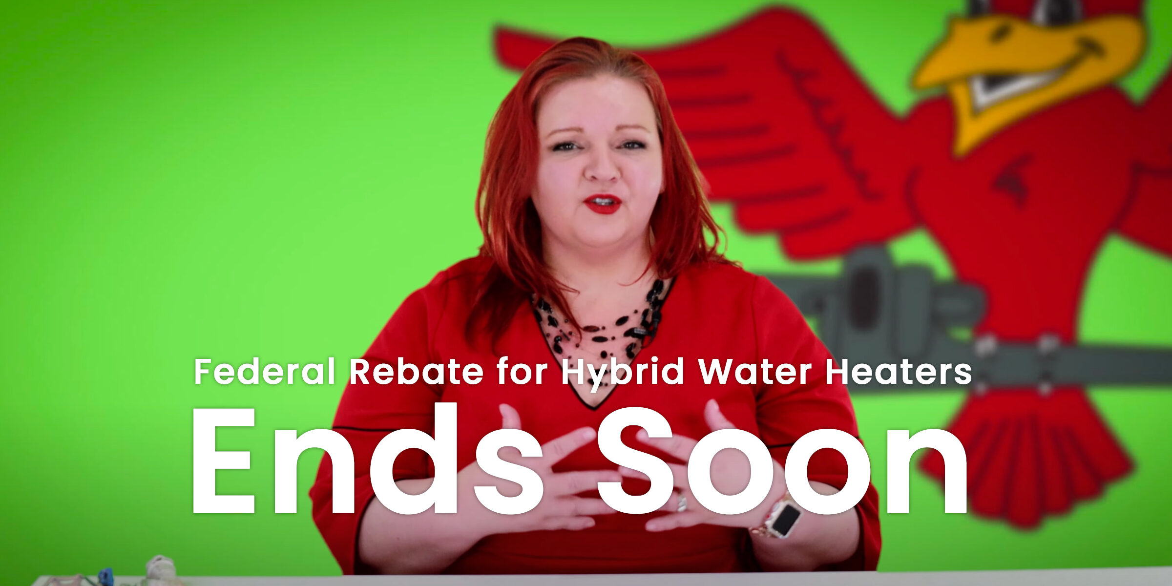 A thumbnail image of the owner of Robins Plumbing, Stephanie Robins for a blog titled "federal rebate for hybrid water heaters"