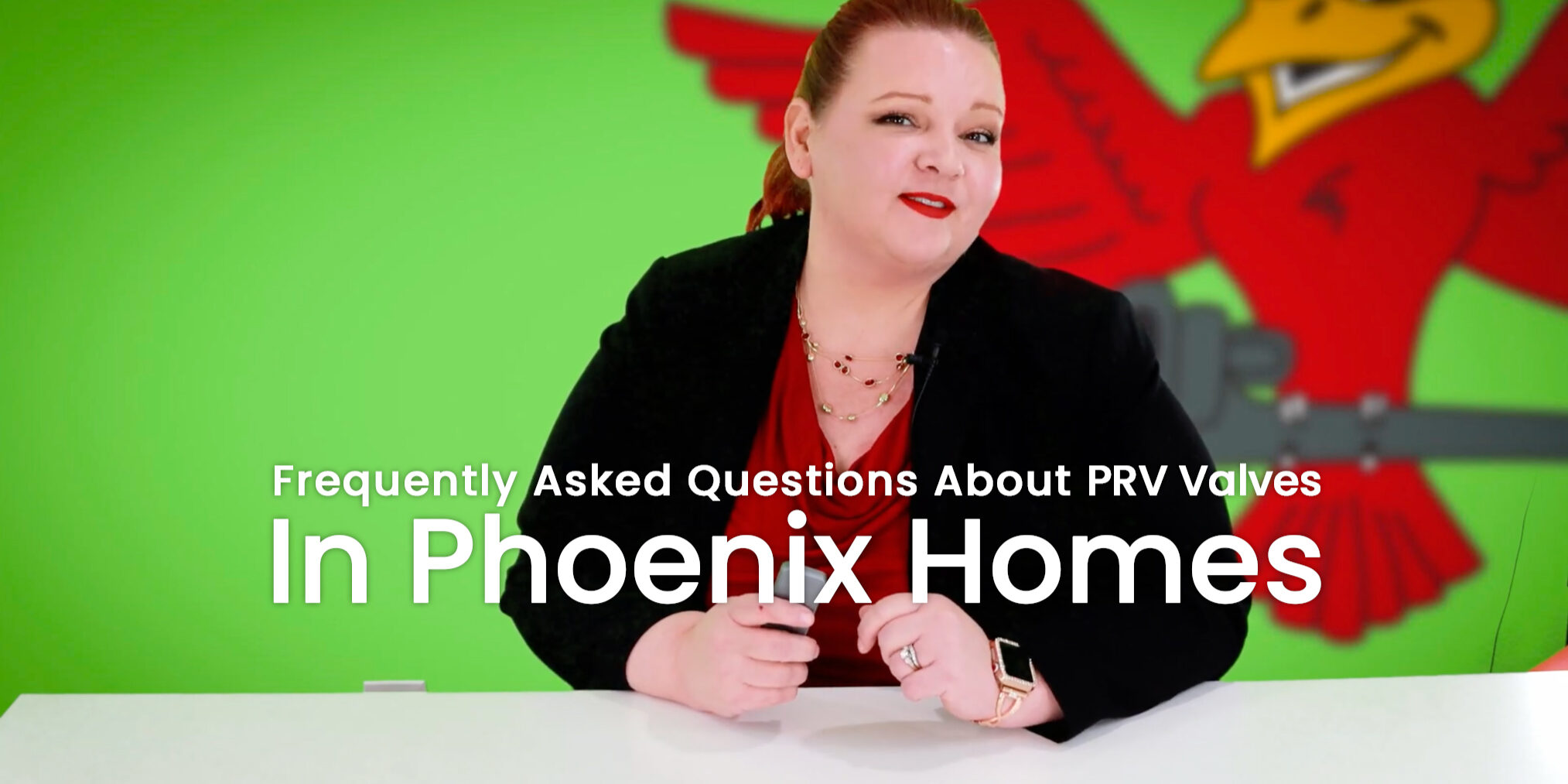 The thumbnail for the blog titled "frequently asked questions about prv valves in Phoenix homes" written by Robins plumbing owner, Stephanie Robins.