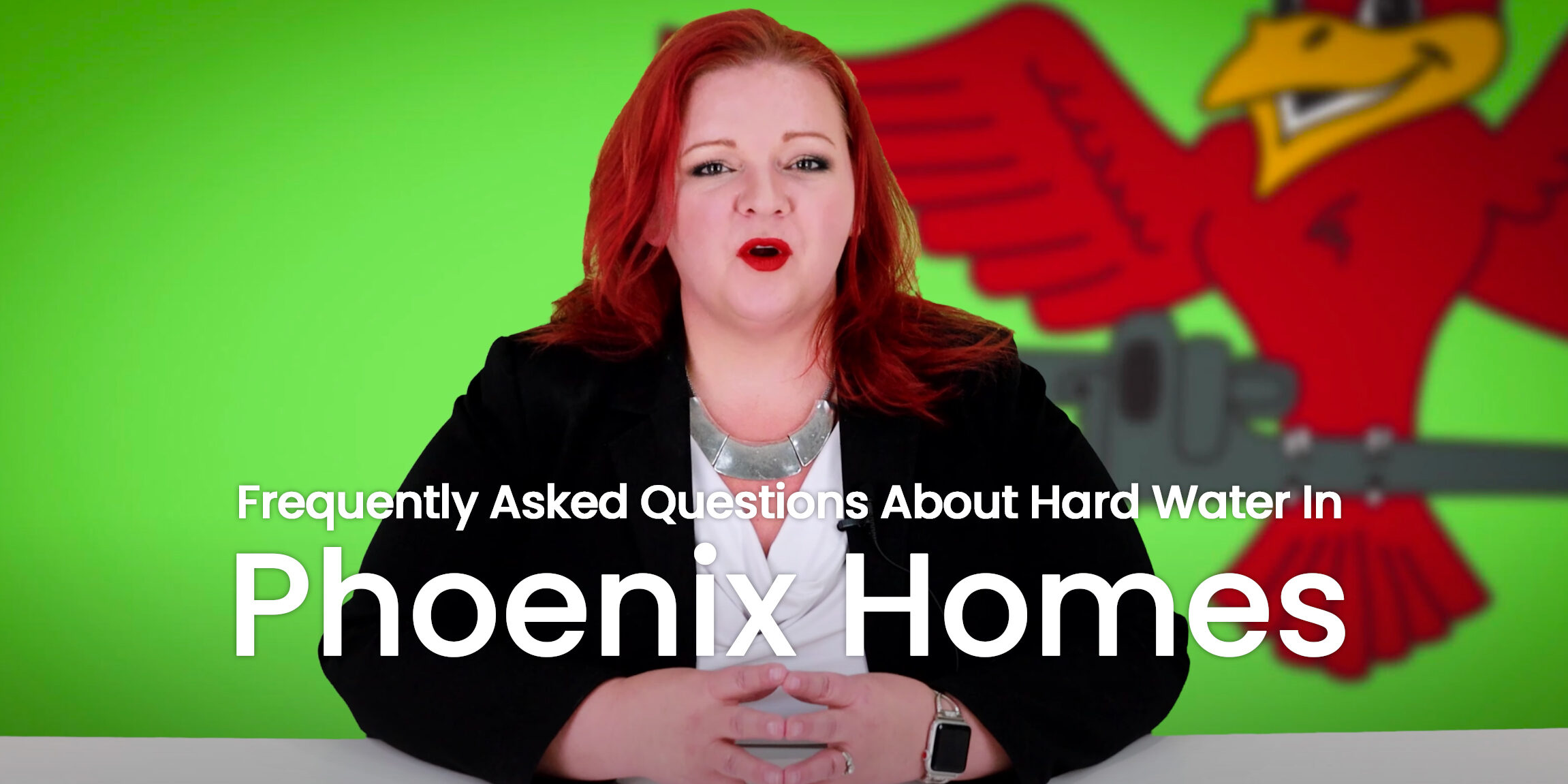 The thumbnail for the blog titled "hard water in Phoenix homes" written by Robins Plumbing owner, Stephanie Robins.