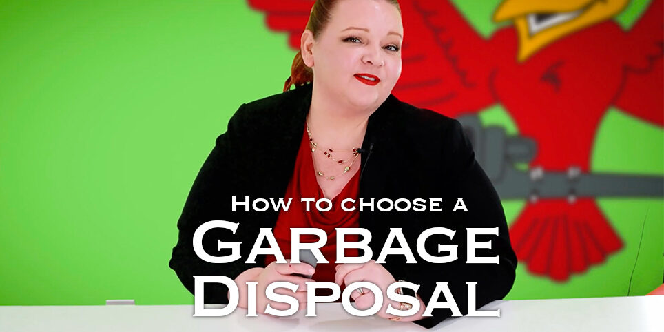 The thumbnail for Robins Plumbing blog titled "how to choose a garbage disposal"