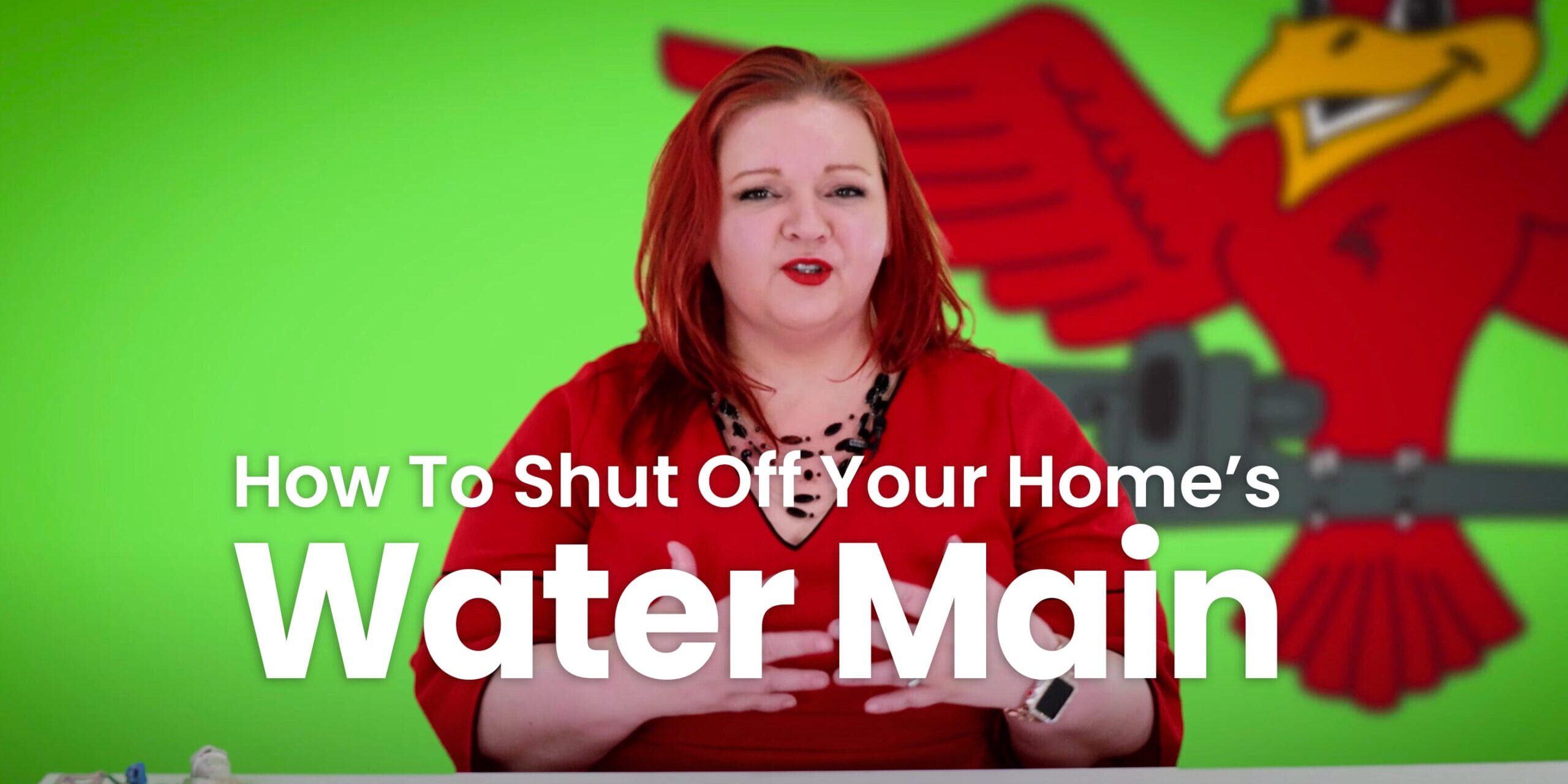 The thumbnail for Robins Plumbing blog titled "how to shut off your homes water main" written by Robins Plumbing owner Stephanie Robins.