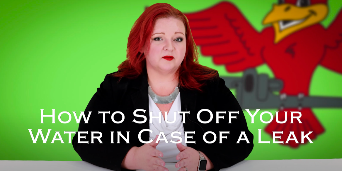The owner of Robins Plumbing, Stephanie Robins featuring a blog titled how to shut off your water in case of a leak.