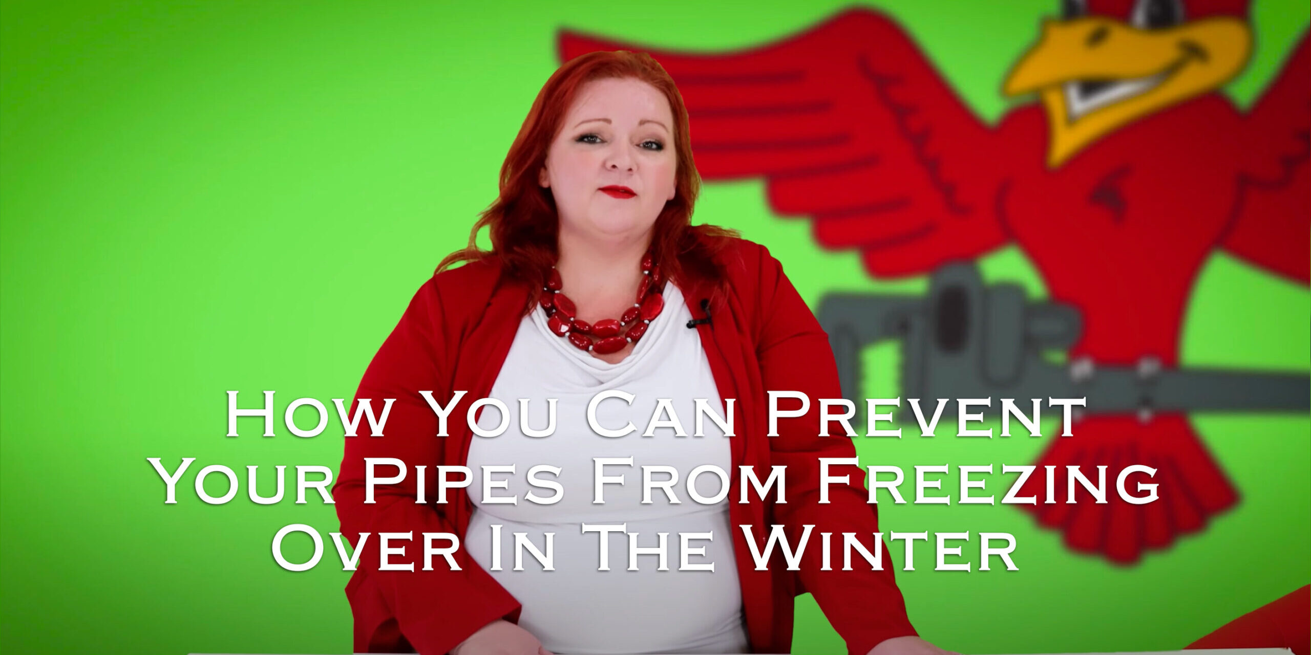 Owner of Robins Plumbing, Stephanie Robins with featured blog titled 'how you can prevent your pipes from freezing over in the winter'
