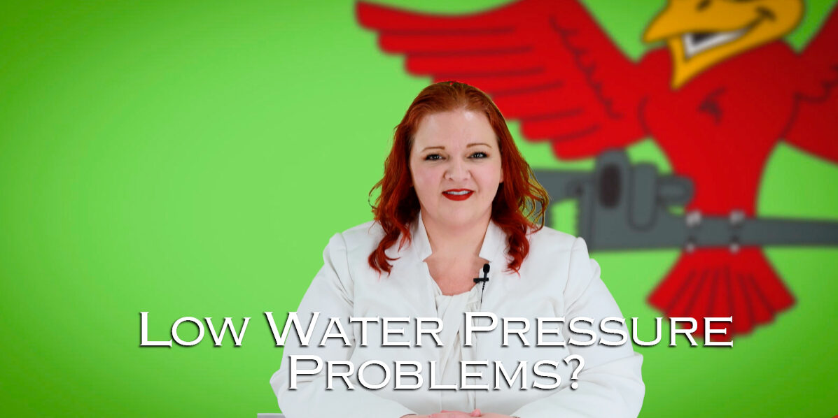 Stephanie Robins, the owner of Robins Plumbing featuring her blog titled low water pressure problems