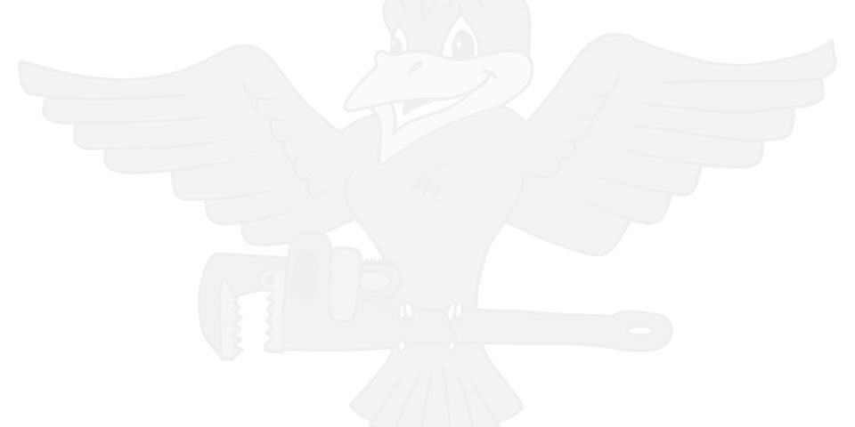 robins-logo-large-landscape