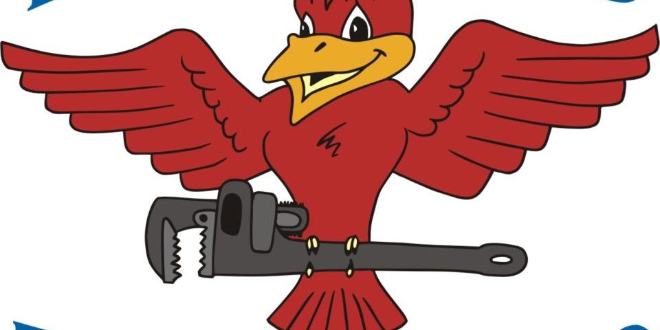 Phoenix Plumbing Robins Plumbing, Inc