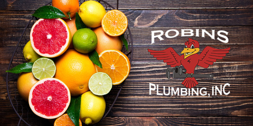 Photo of citrus on a table with Robins Plumbing logo for blog "Put Your Plumbing on a Citrus Diet"