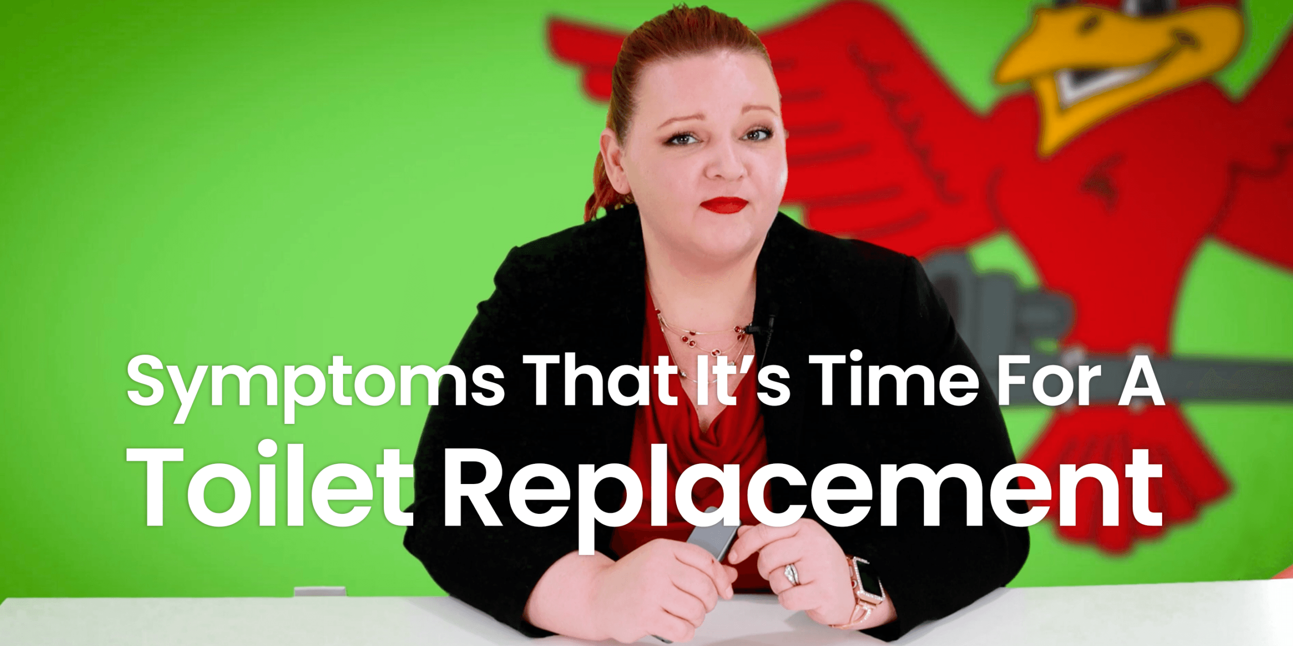 The thumbnail for Robins Plumbing blog titled "what is a skirted toilet" written by the owner of Robins Plumbing Stephanie Robins.