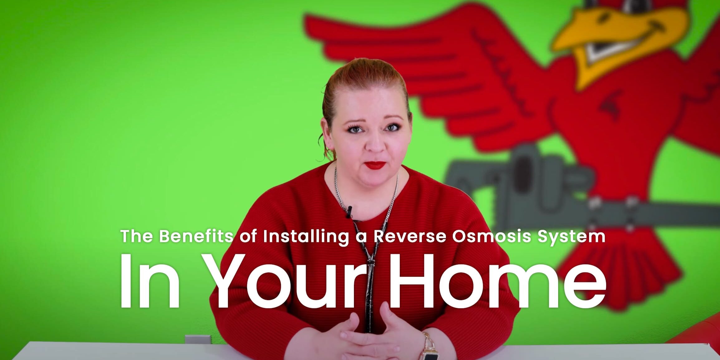 The thumbnail for the blog titled "the benefits of installing a reverse osmosis system in your home" written by Robins Plumbing owner, Stephanie Robins.