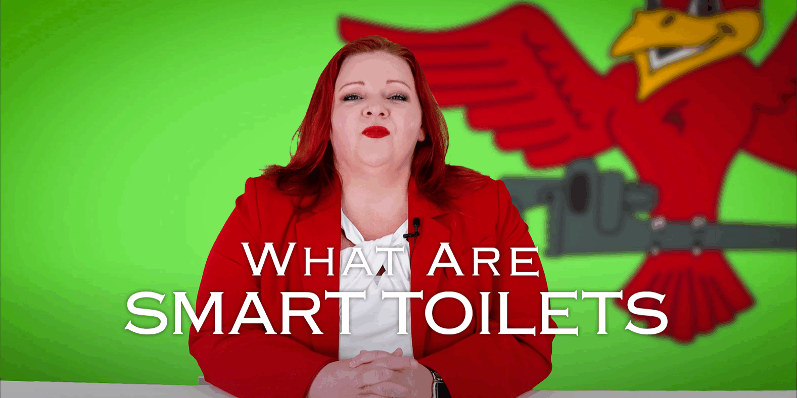 The thumbnail for Robins Plumbing blog titled what are smart toilets written by the owner Stephanie Robins