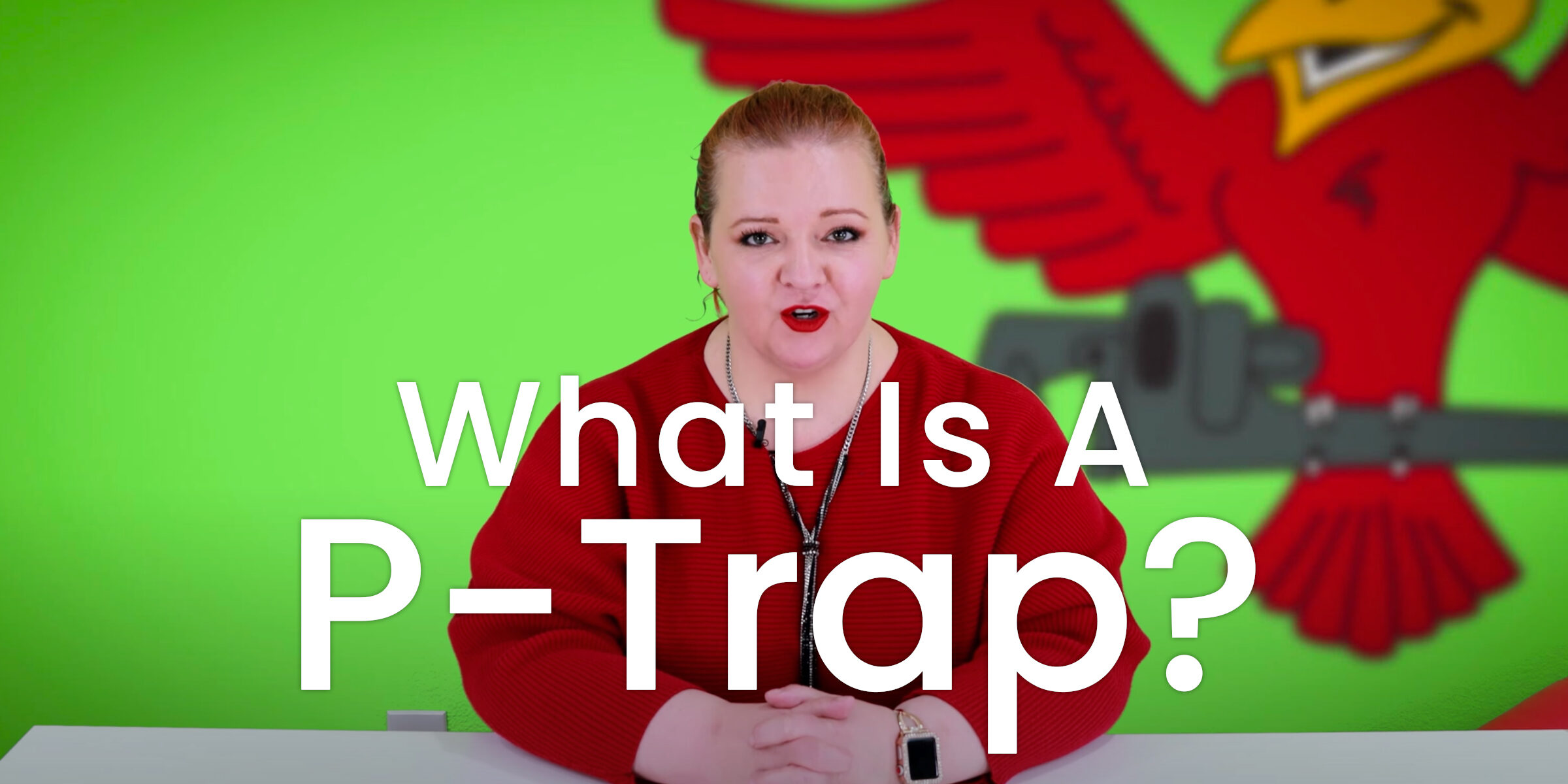 The thumbnail for Robins Plumbing blog titled what is a p-trap written by the owner Stephanie Robins