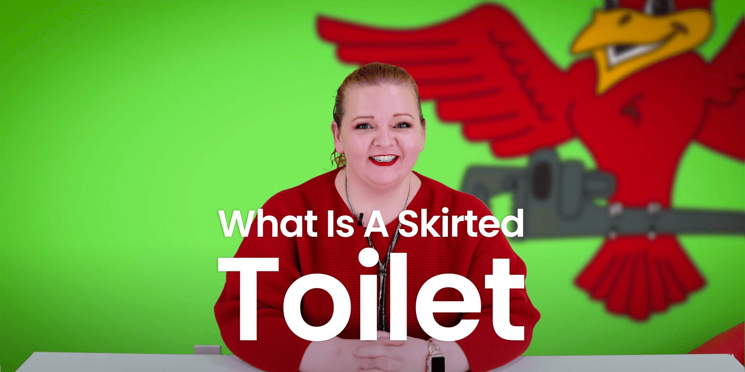 The thumbnail for Robins Plumbing blog titled "what is a skirted toilet" written by the owner of Robins Plumbing Stephanie Robins.
