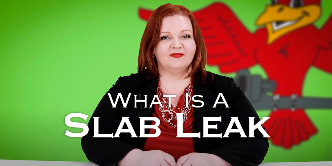 The thumbnail for Robins Plumbing blog titled "what is a slab leak"