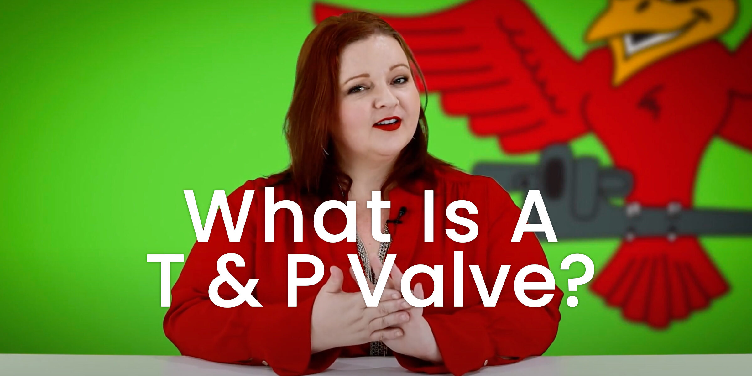 The thumbnail for Robins Plumbing blog titled What is a T and P Valve, written by the owner Stephanie Robins