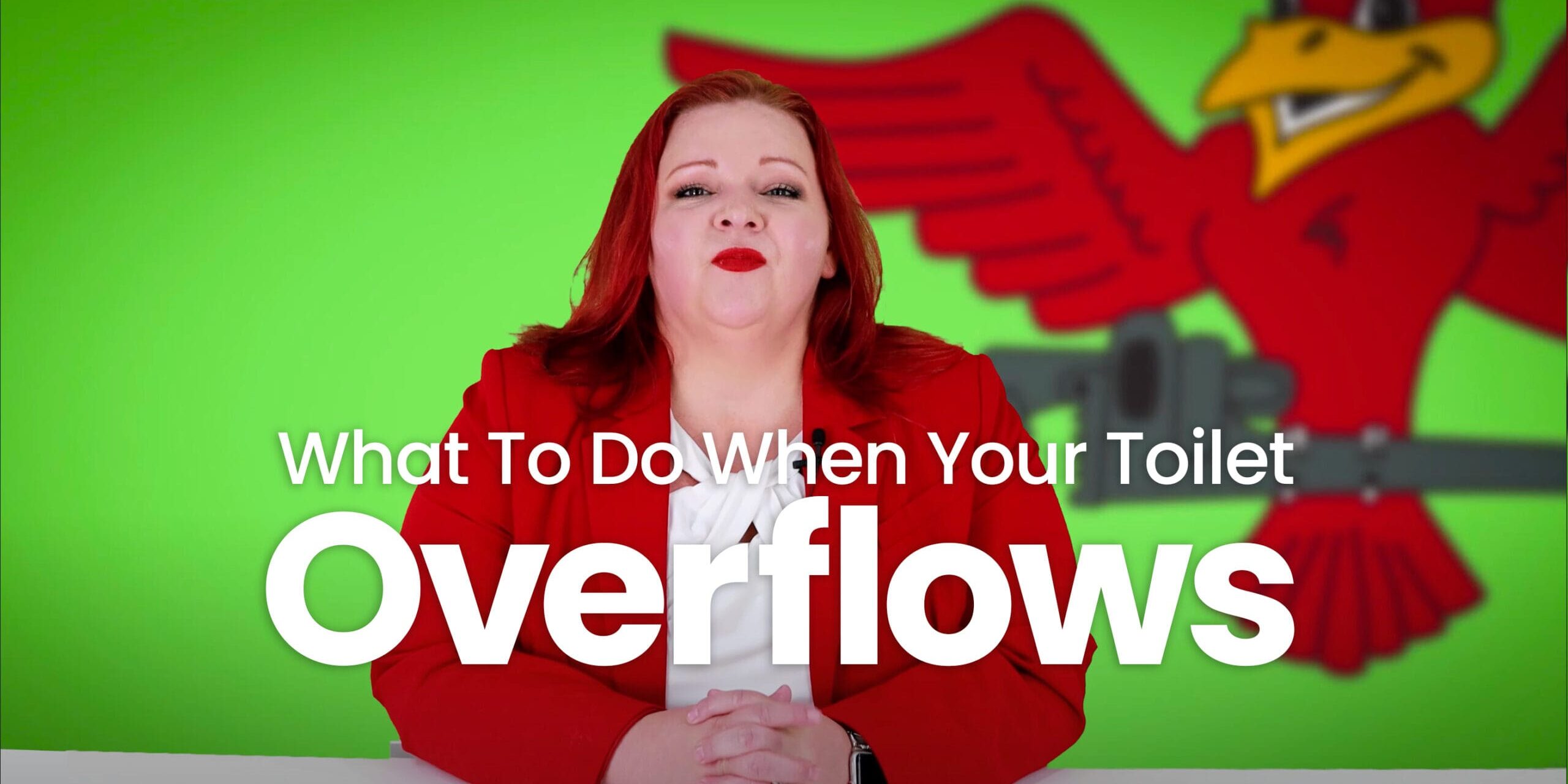 The thumbnail for Robins Plumbing blog titled "What to do when your toilet overflows" written by Robins Plumbing owner Stephanie Robins.