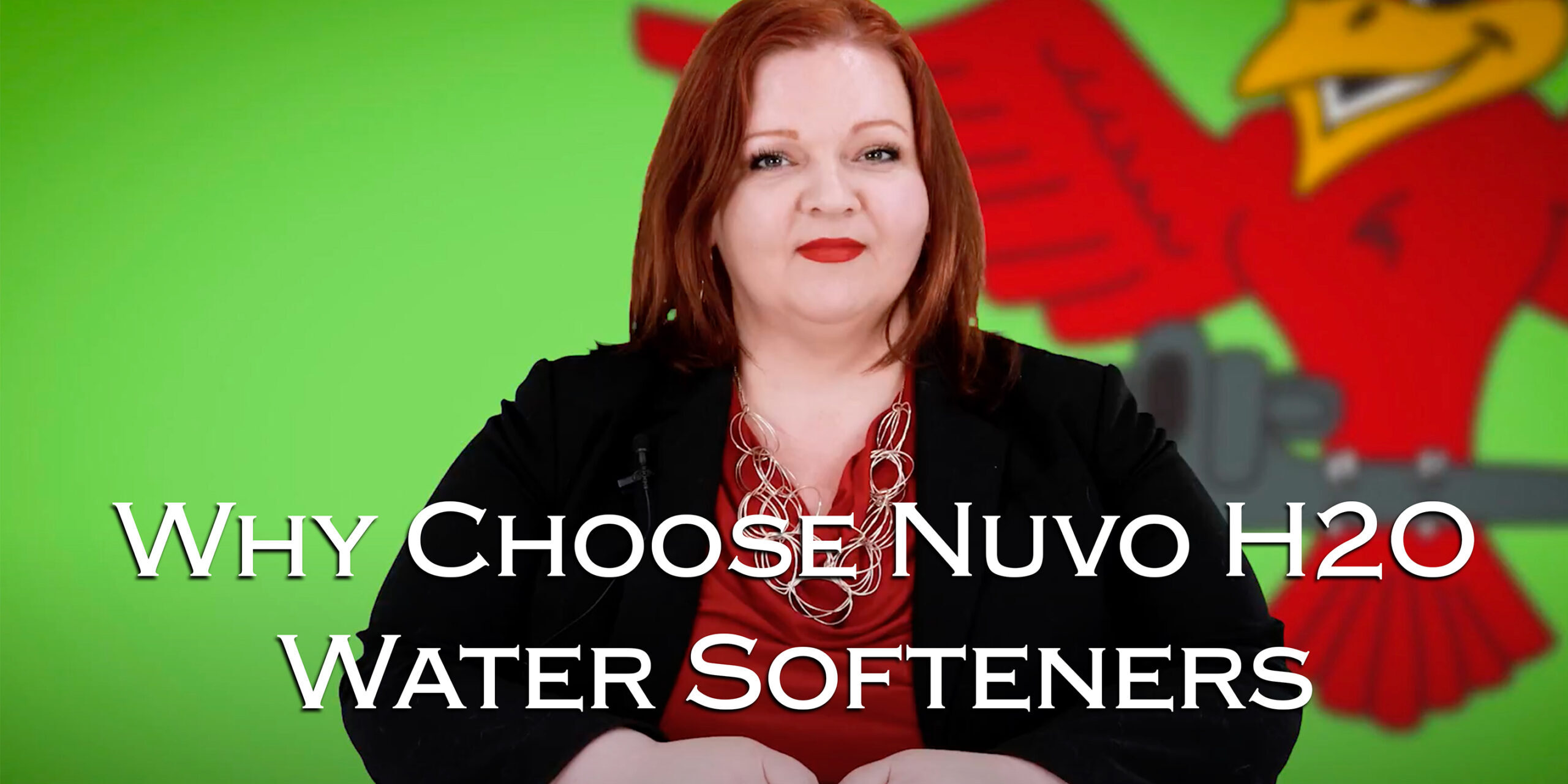 The featured image for Robins Plumbing blog titled 'why-choose-nuvo-h2O-water-softeners'