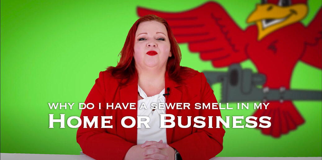 The thumbnail for Robins Plumbing blog written by owner Stephanie Robins, titled "why do I have a sewer smell in my home or business"