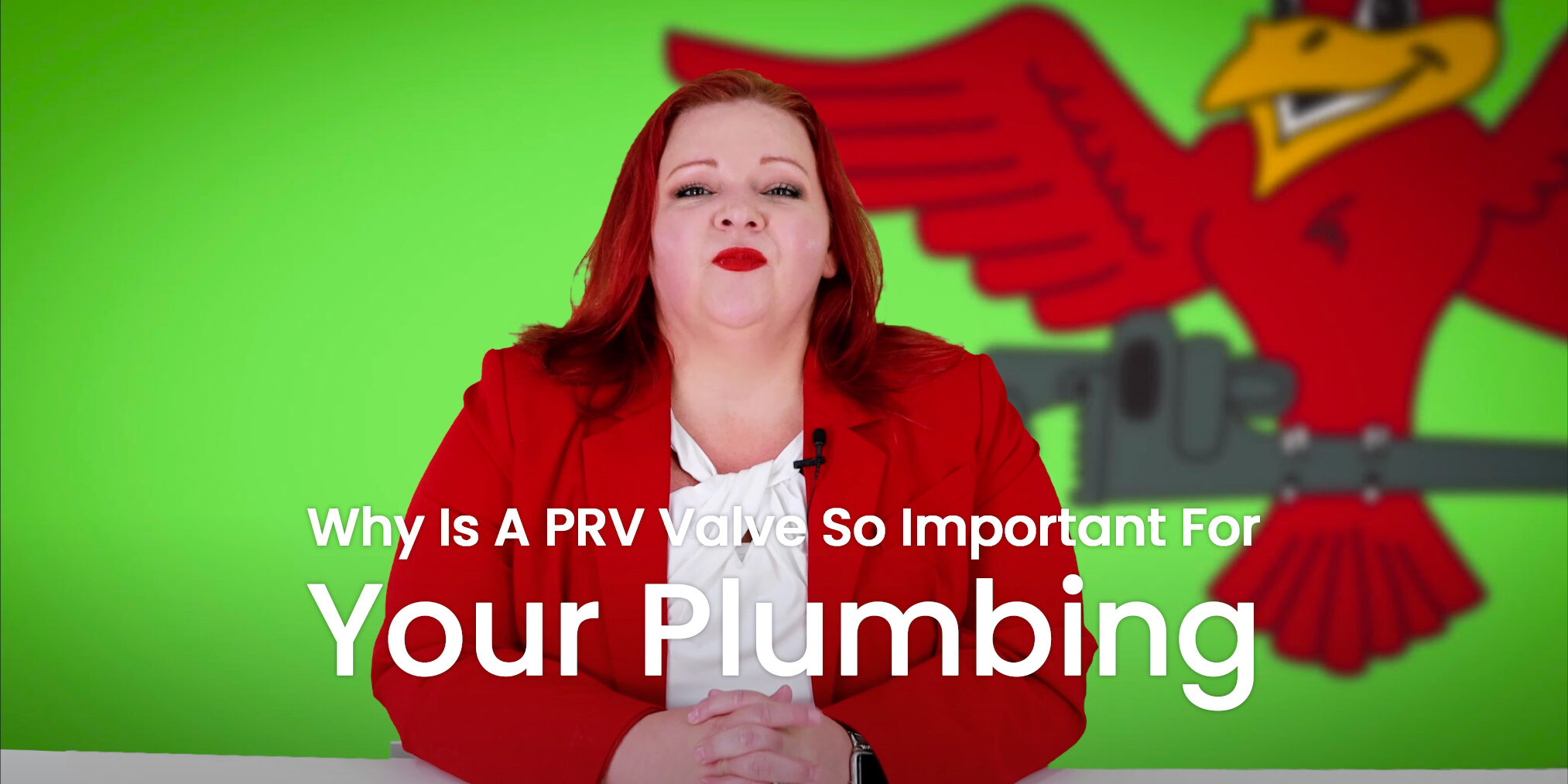 The thumbnail for the blog titled "why is a prv valve so important for your plumbing" written by Robins Plumbing owner, Stephanie Robins.