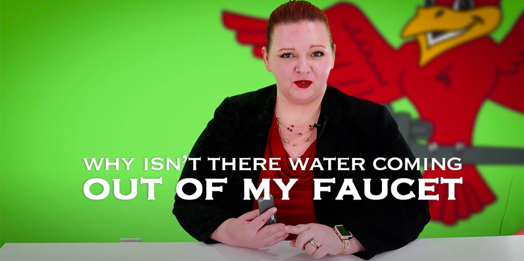 The thumbnail for Robins Plumbing blog titled "why isnt there water coming out of my faucet" by the owner of Robins Plumbing Stephanie Robins.