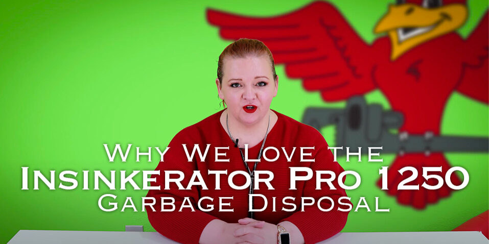 The thumbnail for Robin's Plumbing blog titled "why we love the insinkerator pro 1250 garbage disposal"