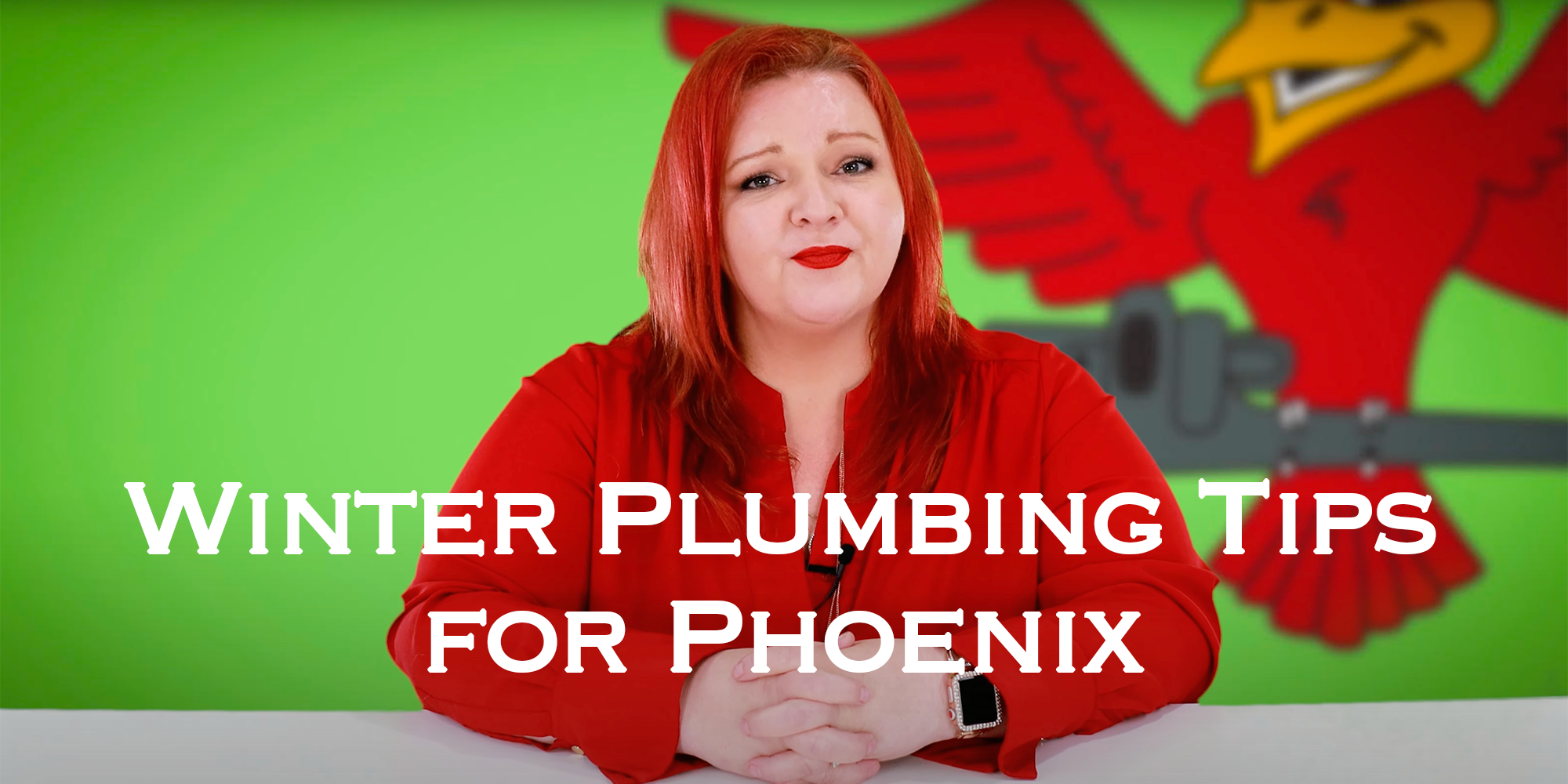 Featured image for the blog "winter-plumbing-tips-for-phoenix"